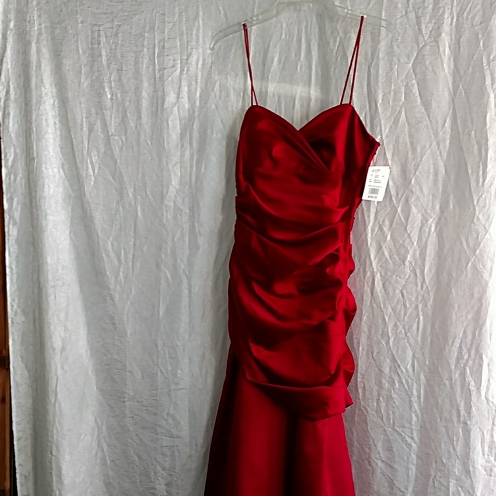 David's Bridal dress